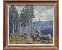 Pařezy
