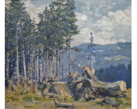 Pařezy