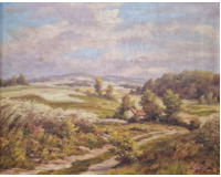 Krajina s cestou