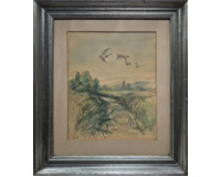 Kachny