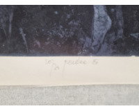 Tanečnice Tanečnice