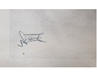 Tanečnice V Tanečnice V