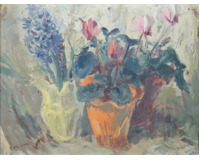 Hyacint a brambořík