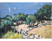 Olivy u moře Olivy u moře