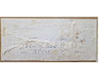 Olivy u moře Olivy u moře