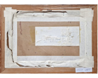 Olivy u moře Olivy u moře