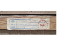 Růžový akt Růžový akt