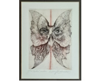 Noční múza Noční múza