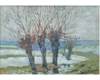 Předjaří na Přerovsku u pardubic