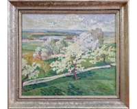 Kvetoucí stromy Kvetoucí stromy