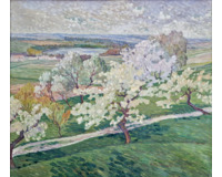 Kvetoucí stromy Kvetoucí stromy