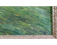 Kvetoucí stromy Kvetoucí stromy