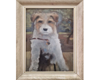 Foxteriér Foxteriér