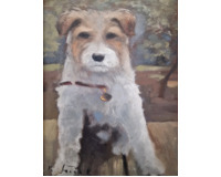 Foxteriér Foxteriér