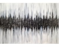 Vzácný puls Vzácný puls