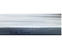 Vzácný puls Vzácný puls