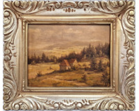 Krkonoše - Stráně pod Pecí