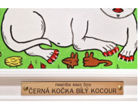 Černá kočka bílý kocour