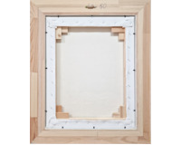 Černá kočka bílý kocour