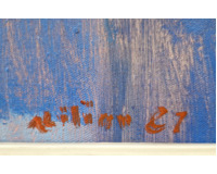 Vltava s Jiráskovým mostem