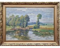 Vesniský rybník Vesniský rybník