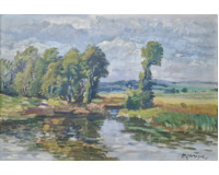 Vesniský rybník Vesniský rybník