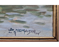 Vesniský rybník Vesniský rybník