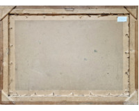 Vesniský rybník Vesniský rybník