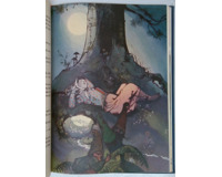 Ilustrace - Princezna pohádka