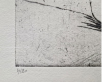 Odvrácená žena Odvrácená žena