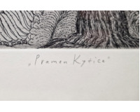 Pramen kytice
