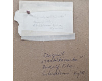 Zastříkávanka