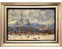 Zimní Tatry