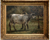 Býk na pastvině s farmářem