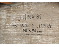 Pstruzi z Jizery