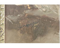 Mořské útesy - Velký formát Mořské útesy - Velký formát