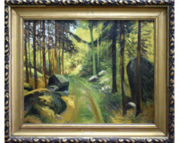 Cesta lesem