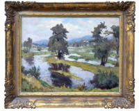 Mokřiny  - Jarní vody