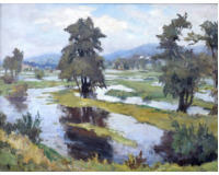 Mokřiny  - Jarní vody