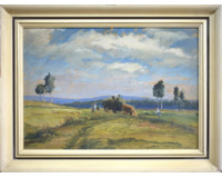 Senoseč