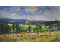 Letní krajina