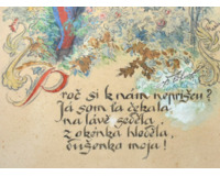 Proč jsi k nám nepřišel