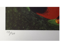 V zoologické zahradě