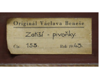Zátiší - pivoňky