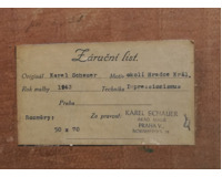 Okolí Hradce Králové