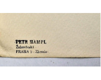 Žena