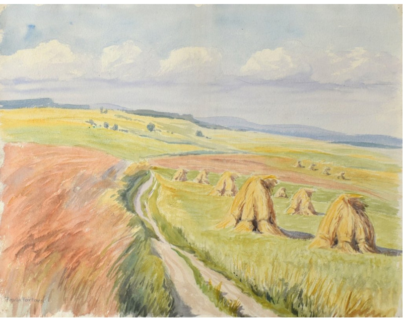 Aukční položky