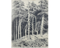 Radhošť z Beskyd 1939