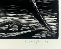 Ptačí figura
