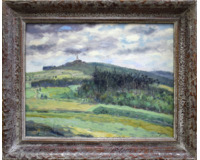 Borovinka